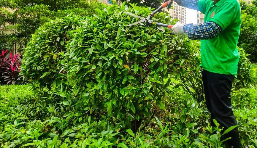 江苏省园林绿化工程质量评定标准是什么？
